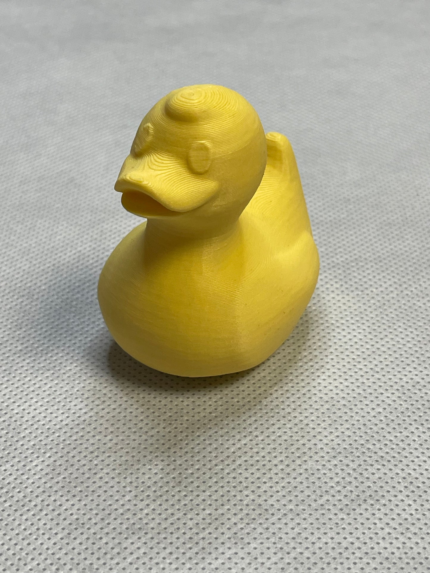 3D Duck