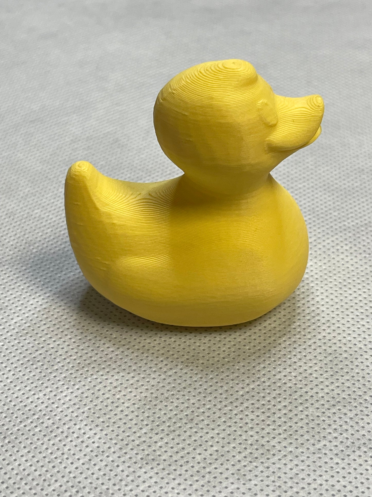 3D Duck