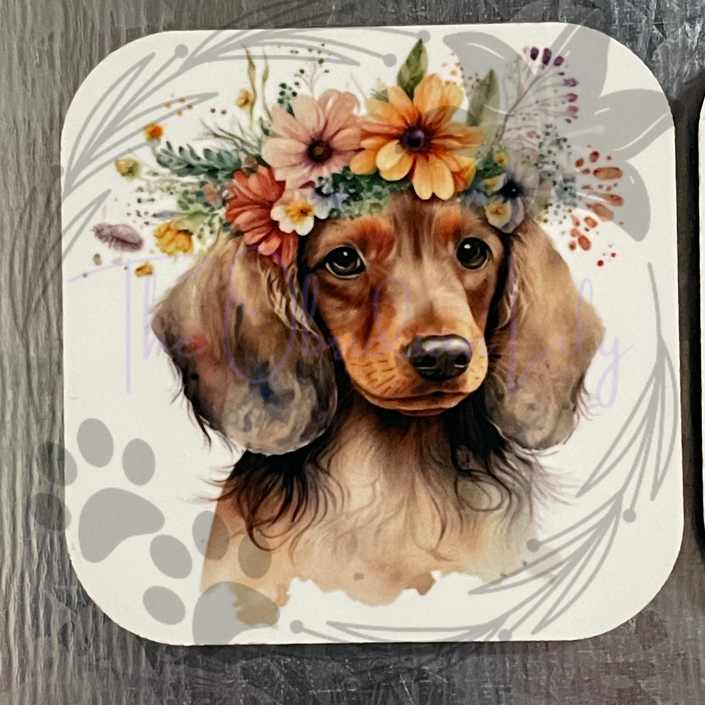 Dachshund 2” Magnets - Pack of 4