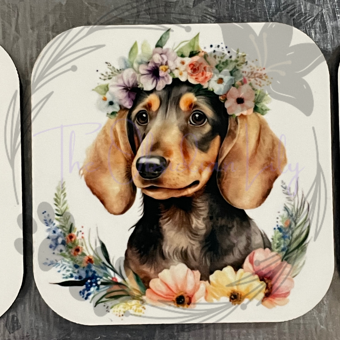 Dachshund 2” Magnets - Pack of 4