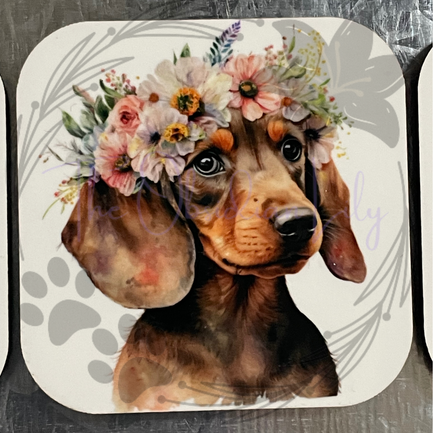 Dachshund 2” Magnets - Pack of 4