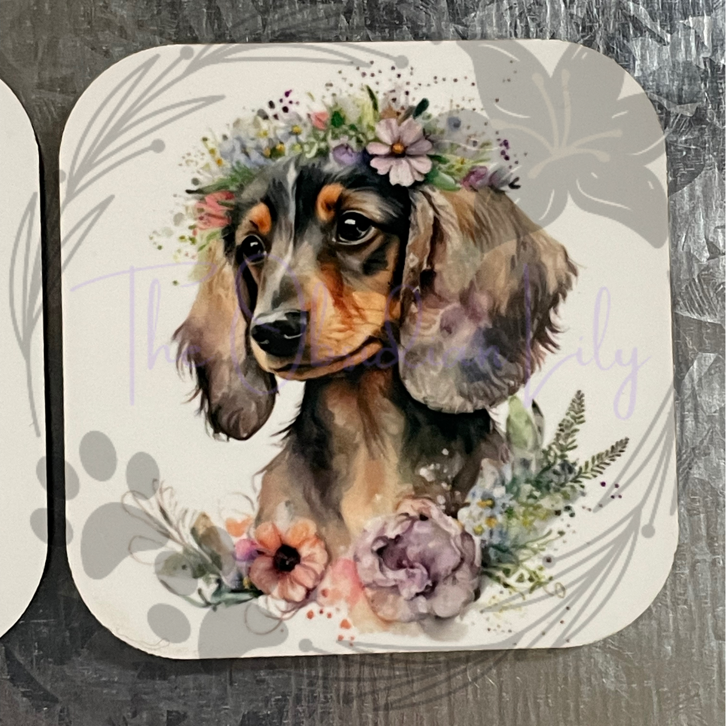 Dachshund 2” Magnets - Pack of 4